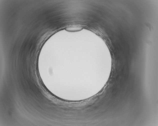 X0000110760001200907271153