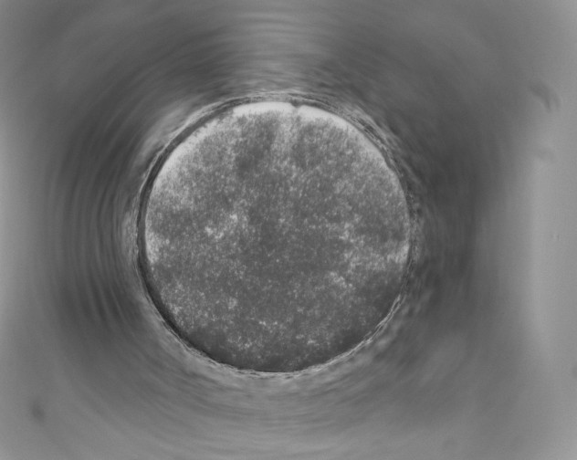 X0000110760002200907271153