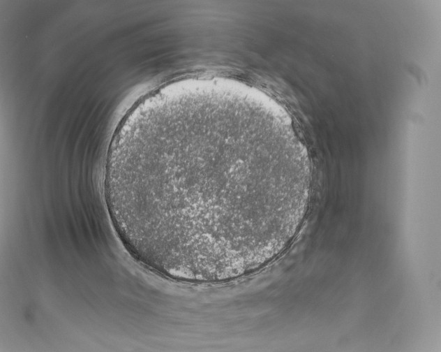 X0000110760003200907271153