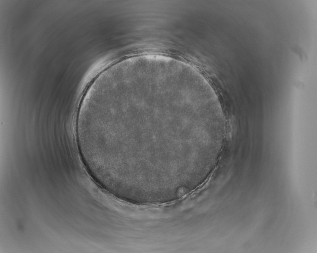 X0000110760004200907271153