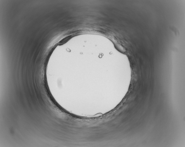 X0000110760005200907271153