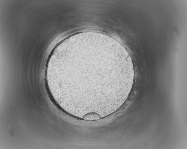 X0000110760007200907271153