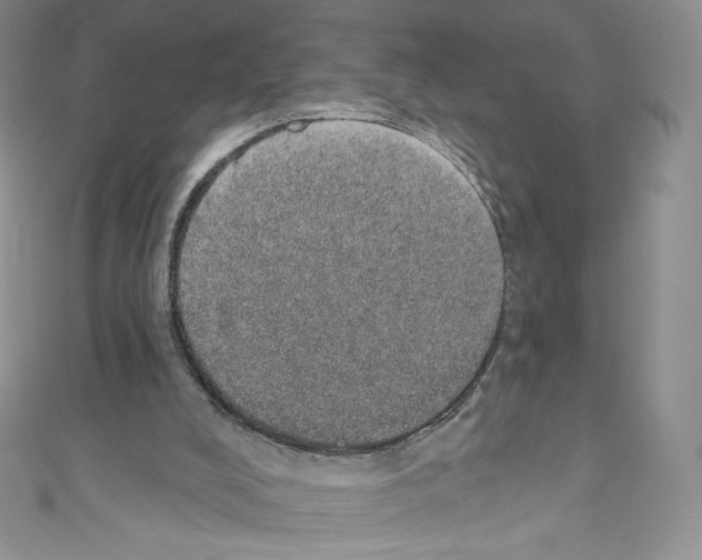 X0000110760008200907271153
