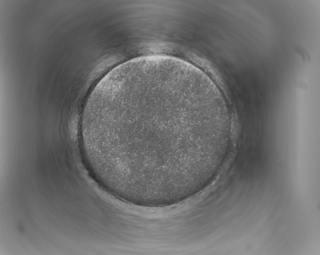X0000110760010200907271153