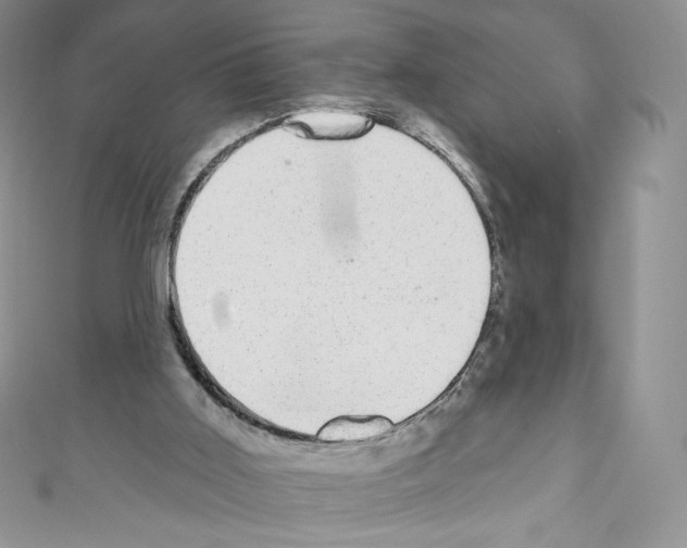 X0000110760011200907271153