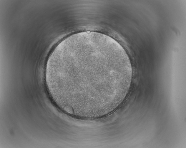 X0000110760012200907271153