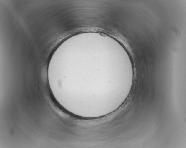 X0000110760013200907271153