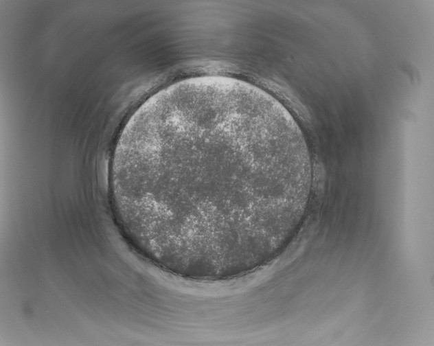 X0000110760014200907271153