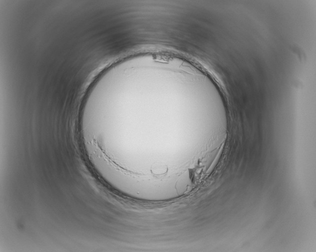 X0000110760015200907271153