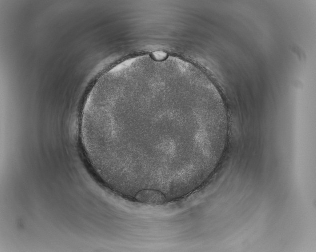 X0000110760016200907271153