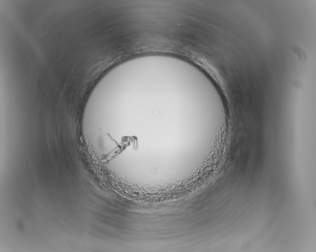 X0000110760017200907271153