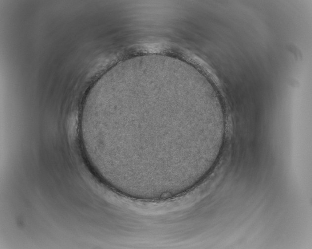 X0000110760018200907271153
