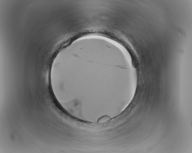 X0000110760019200907271153