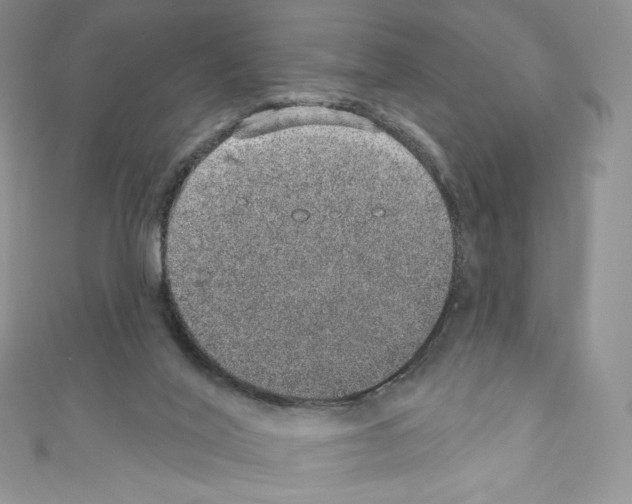 X0000110760020200907271153