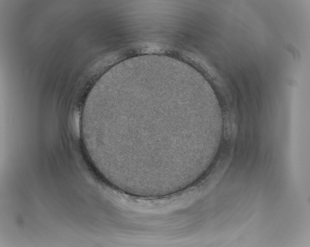 X0000110760022200907271153
