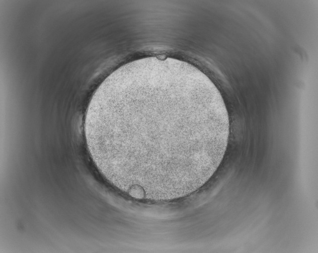 X0000110760024200907271153