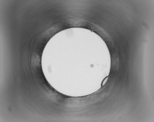 X0000110760025200907271153