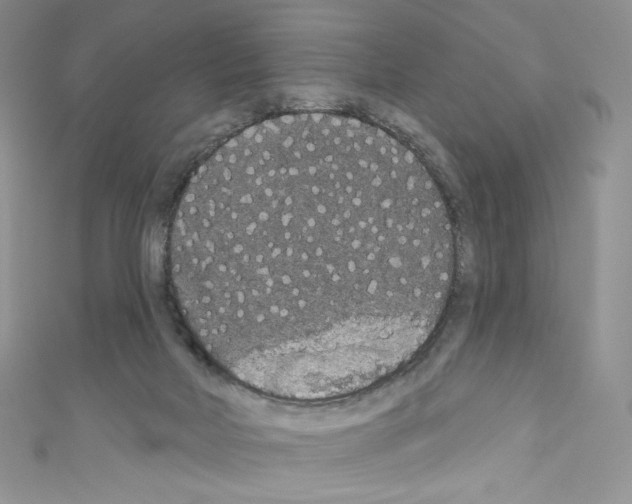 X0000110760026200907271153