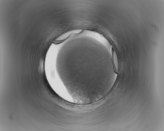 X0000110760027200907271153