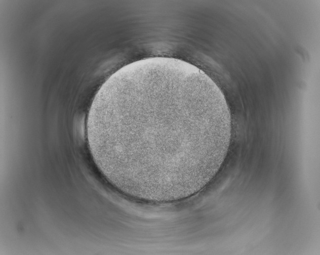 X0000110760028200907271153