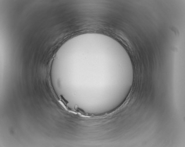 X0000110760029200907271153