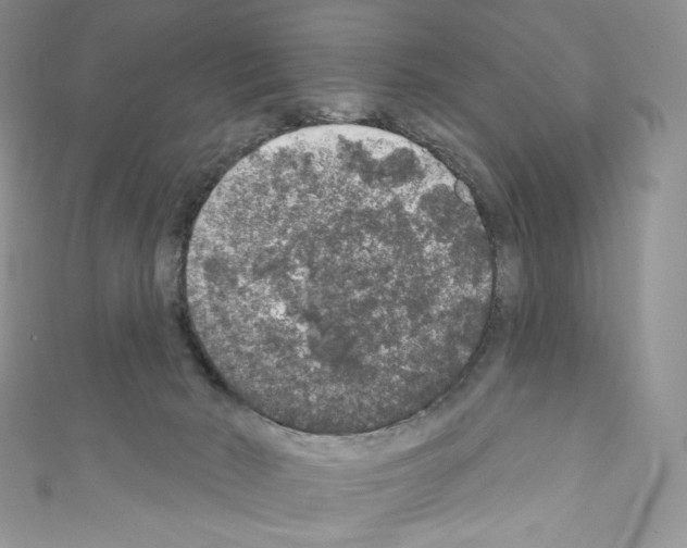X0000110760030200907271153