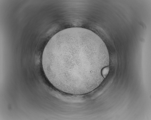 X0000110760032200907271153
