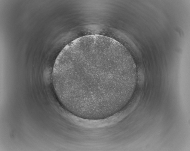X0000110760034200907271153