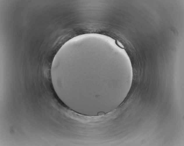 X0000110760035200907271153