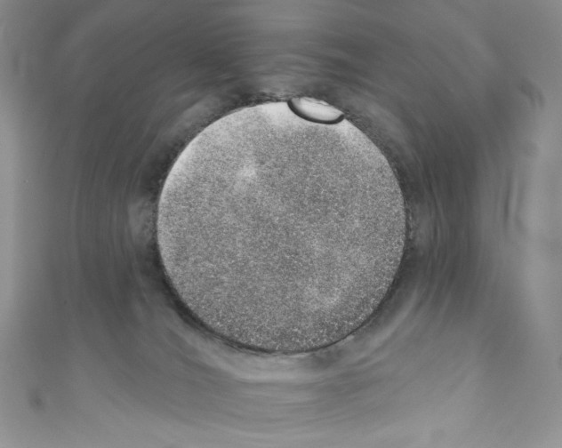 X0000110760036200907271153