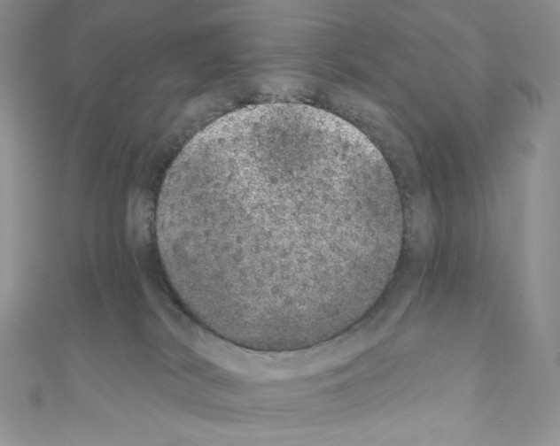 X0000110760038200907271152