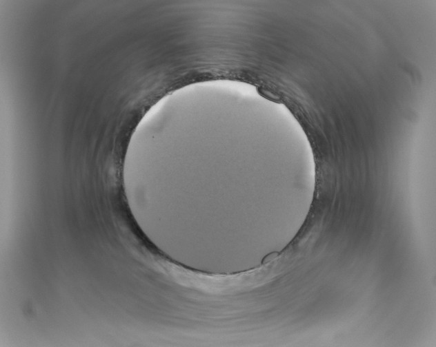 X0000110760039200907271152