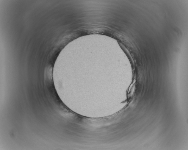 X0000110760041200907271152