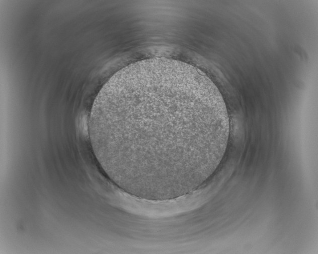 X0000110760042200907271152