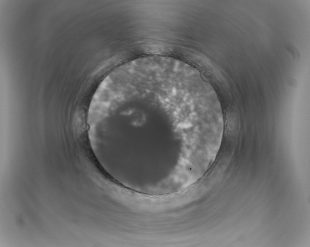 X0000110760043200907271152