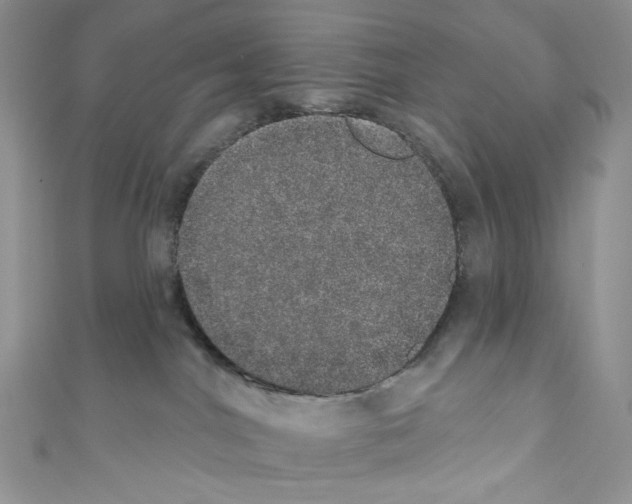 X0000110760044200907271152