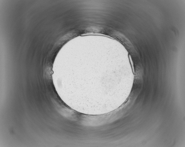 X0000110760045200907271152