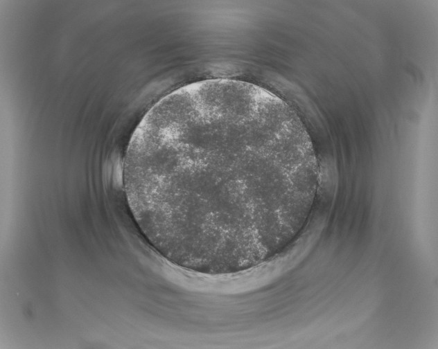 X0000110760046200907271152