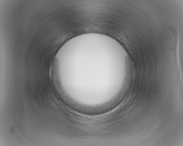 X0000110760047200907271152
