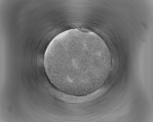 X0000110760048200907271152