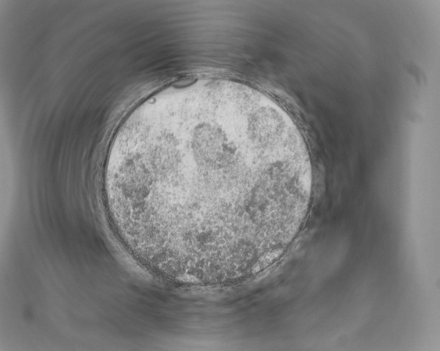 X0000110760049200907271152