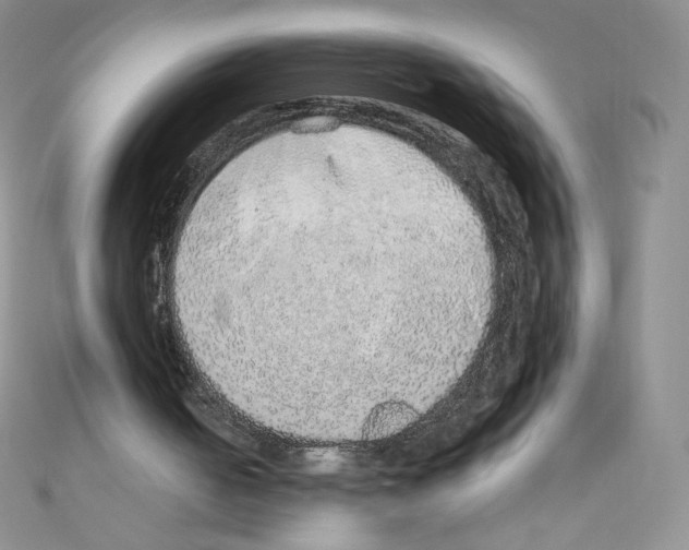 X0000110760050200907271152