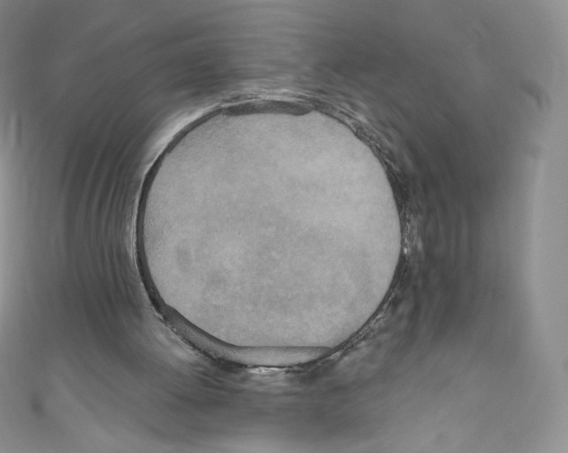 X0000110760052200907271152