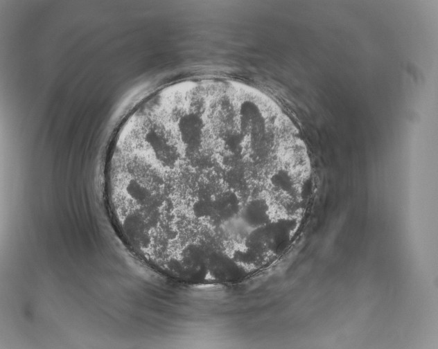 X0000110760053200907271152