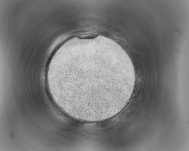 X0000110760054200907271152