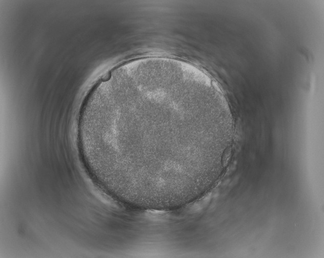 X0000110760055200907271152