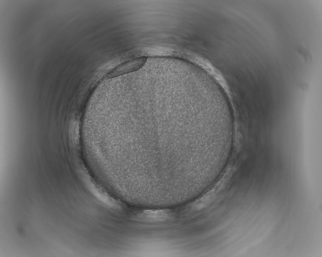 X0000110760057200907271152