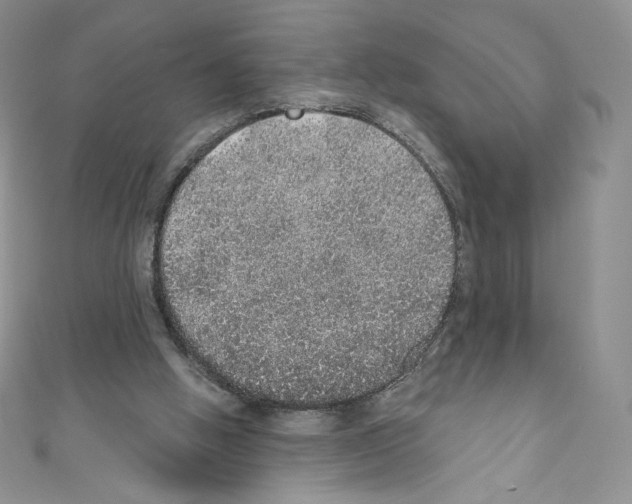 X0000110760058200907271152