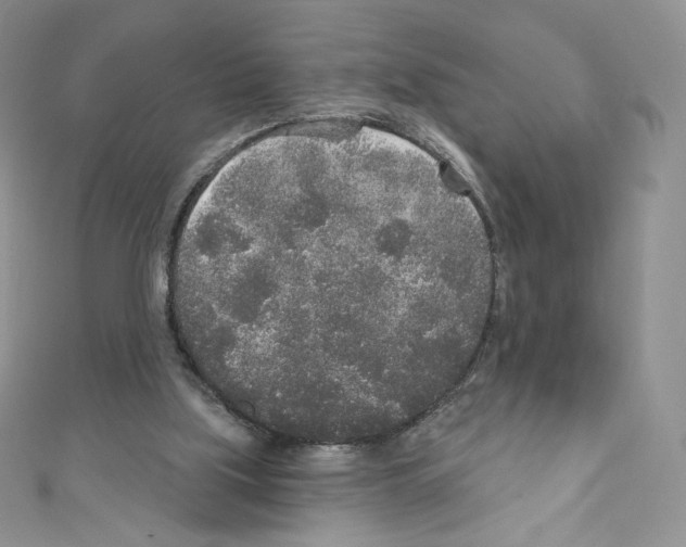 X0000110760059200907271152