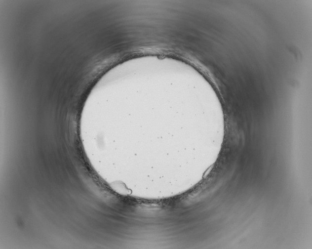 X0000110760061200907271152